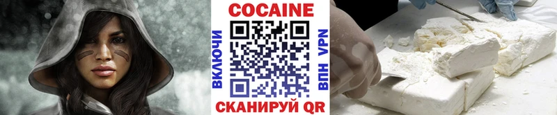 Кокаин FishScale  Купить закладки  Киселёвск 
