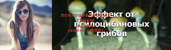jwh Бородино