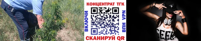 Купить где  Киселёвск  Дистиллят ТГК THC oil 