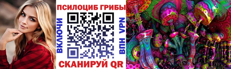 Купить где  Киселёвск  Псилоцибиновые грибы ЛСД 
